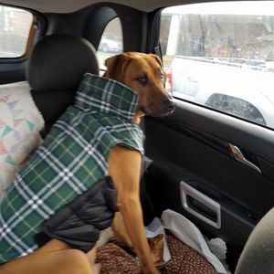 Meet your Posher, Mindy